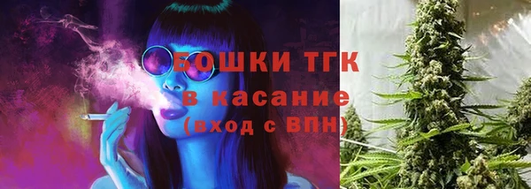 ГАЛЛЮЦИНОГЕННЫЕ ГРИБЫ Алексин