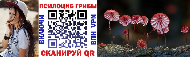 kraken ссылки  Морозовск  Галлюциногенные грибы GOLDEN TEACHER 