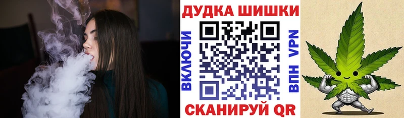blacksprut как войти Морозовск Бошки Шишки ГИДРОПОН